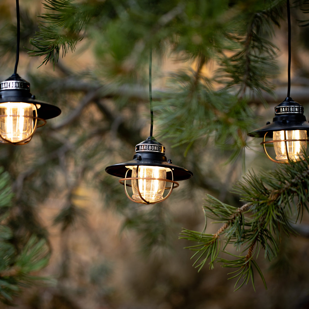BAREBONES LIVING EDISON PENDANT STRING LIGHTS 復古愛迪生式 LED 燈串